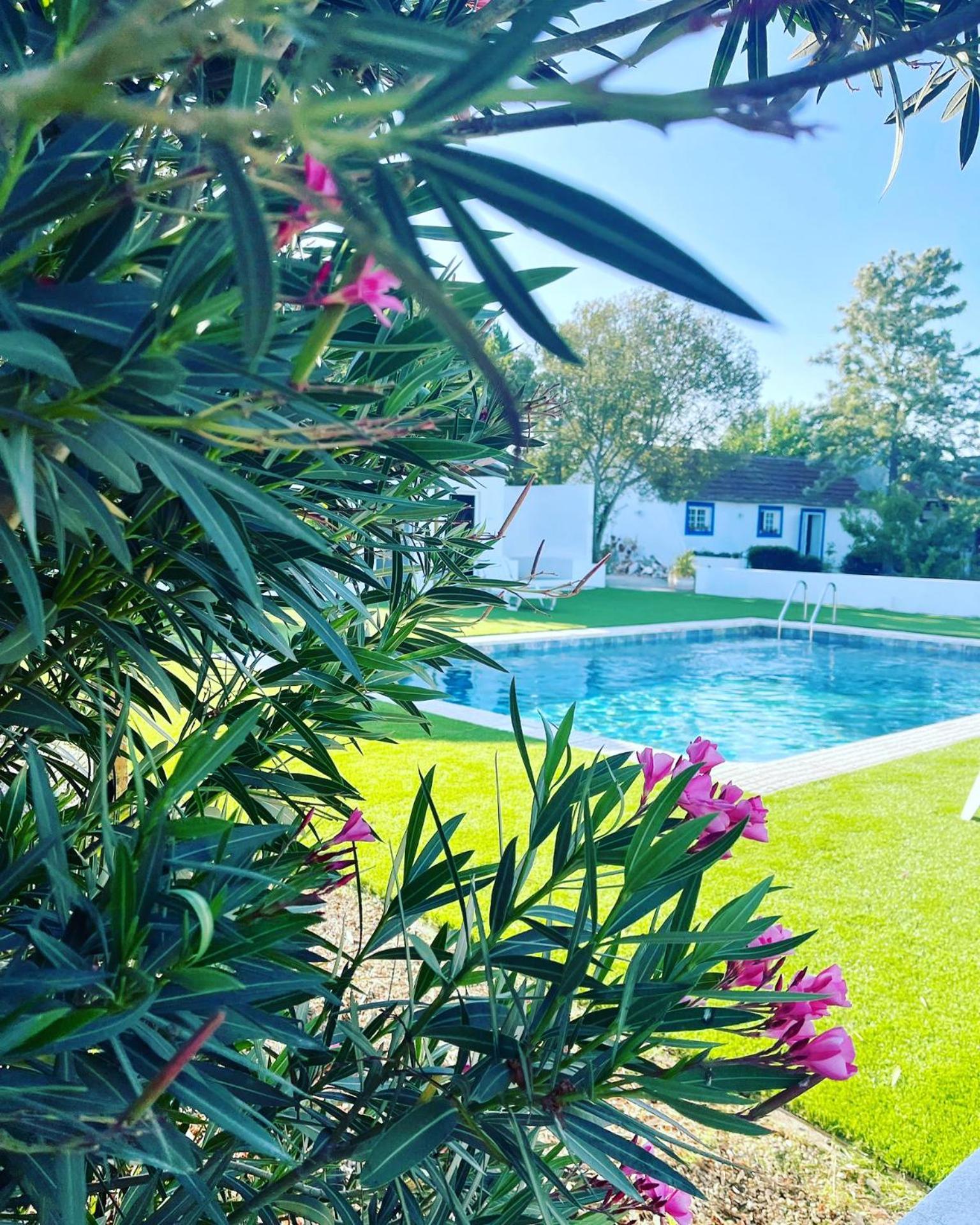Na Quinta- Alojamento Rural Com Piscina De Agua Salgada Poceirao Bagian luar foto