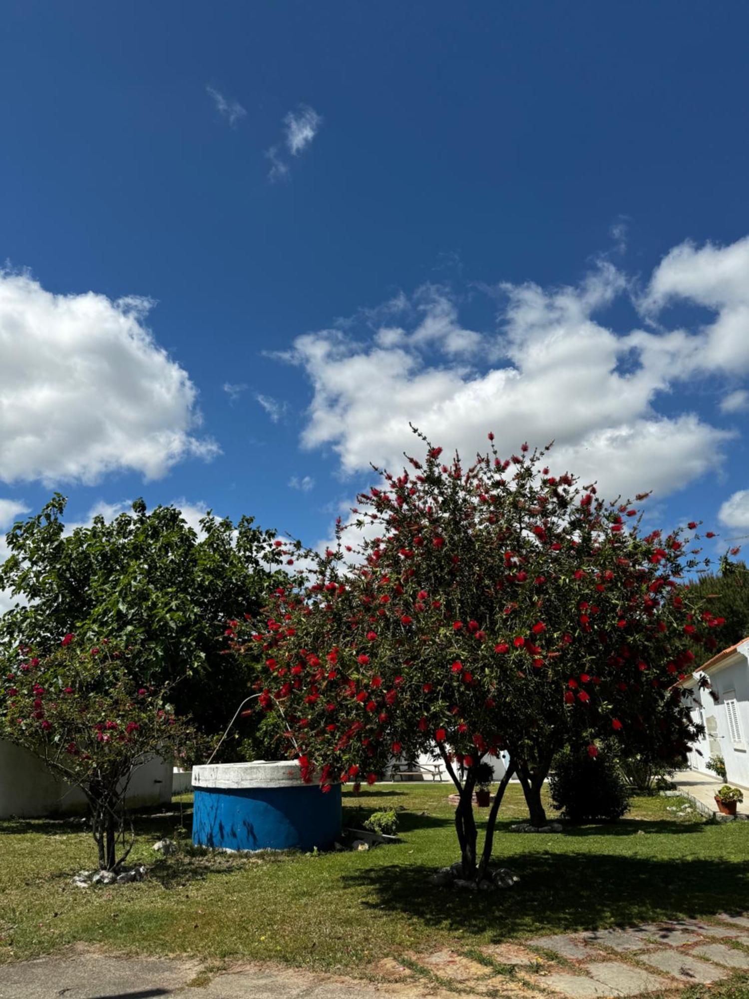 Na Quinta- Alojamento Rural Com Piscina De Agua Salgada Poceirao Bagian luar foto